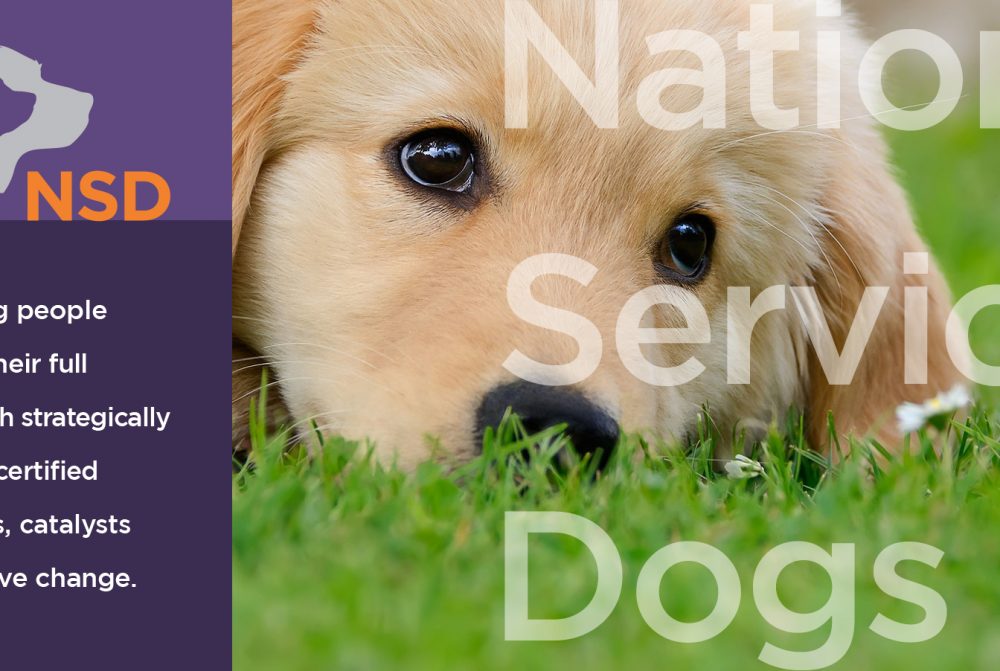 national service dog